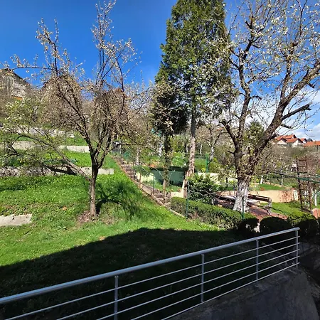 Pulse * Sarajevo