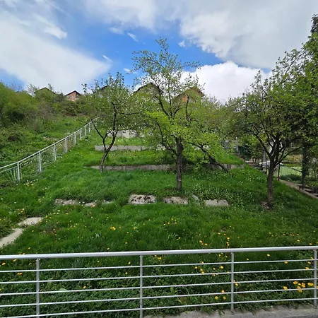Pulse * Sarajevo
